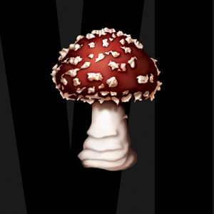 mushroom-chron-400x400